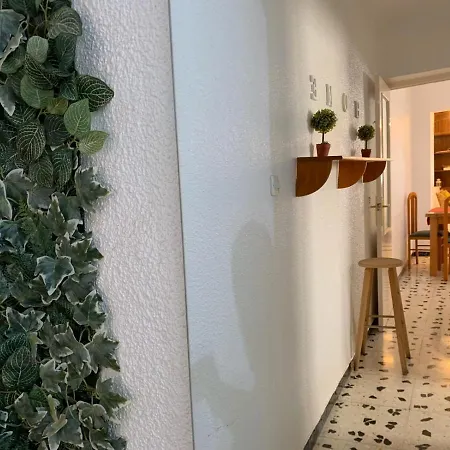 Appartamento Apartamento La Muralla Centro